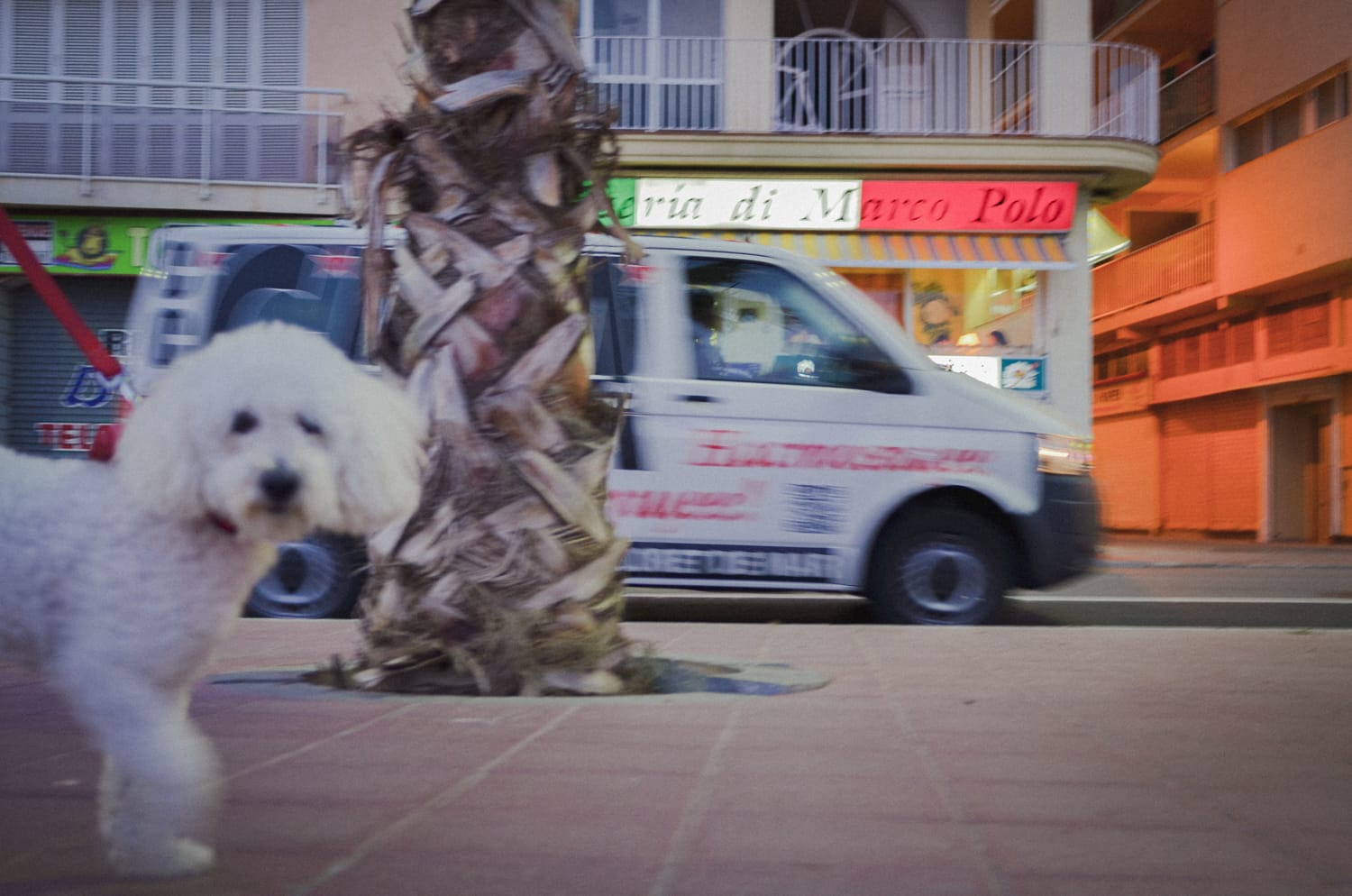 Фото 12 из альбома Barcelona 2012