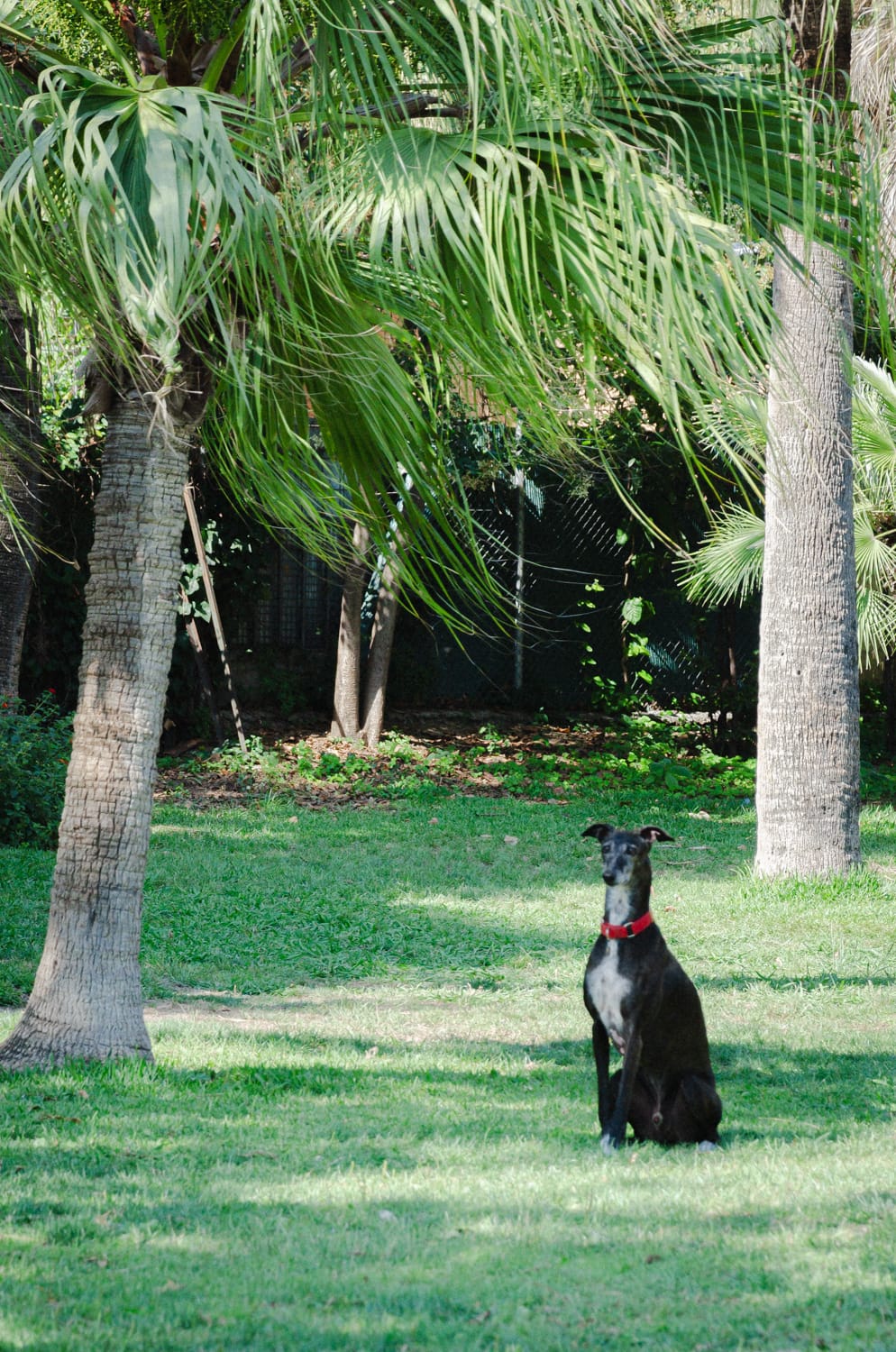 Фото 38 из альбома Barcelona 2012