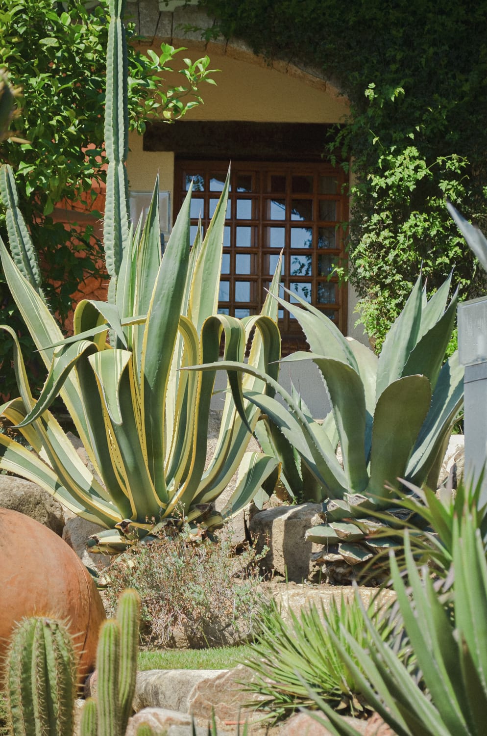 Фото 61 из альбома Barcelona 2012