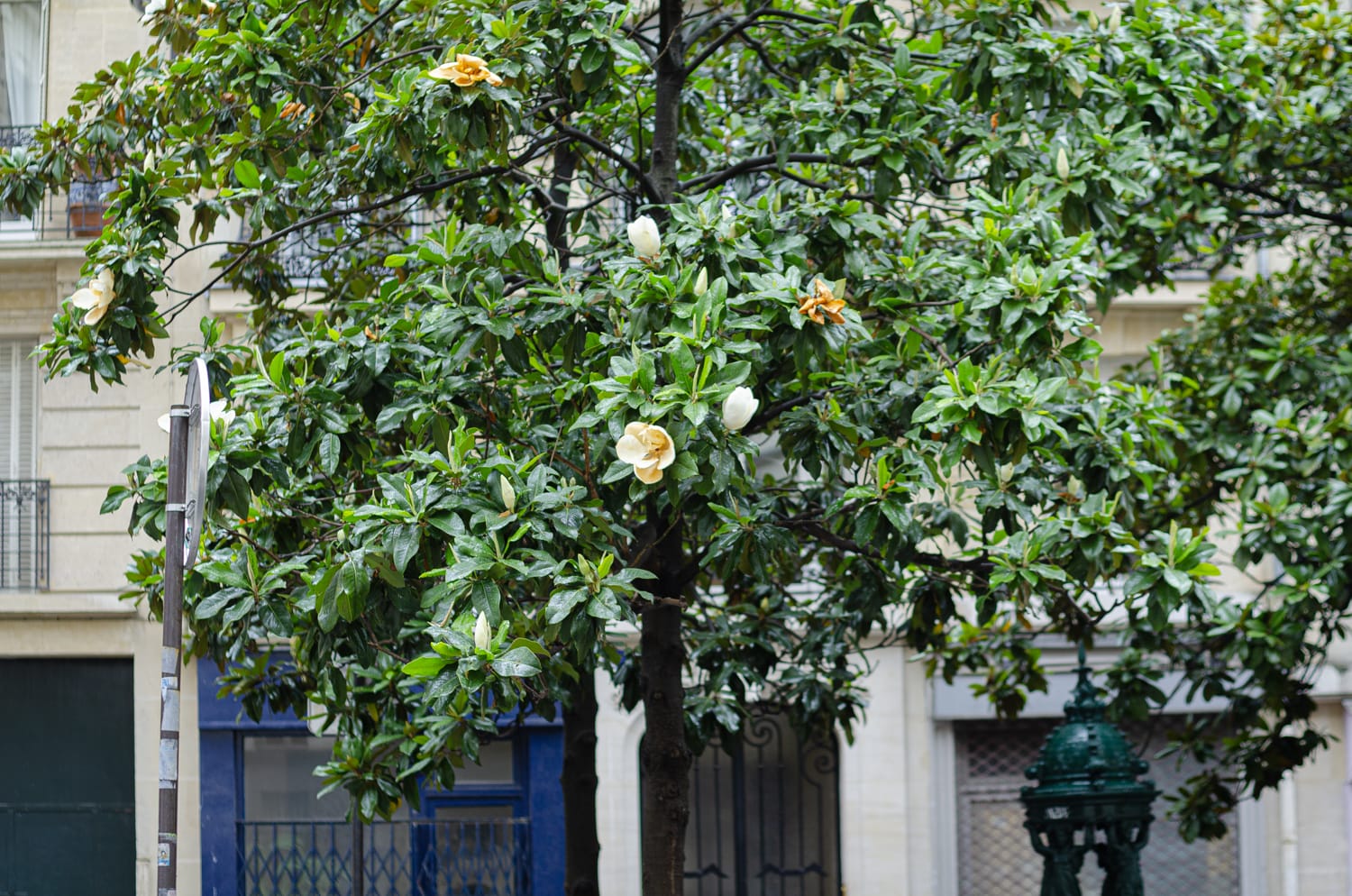 Превью Paris 2014