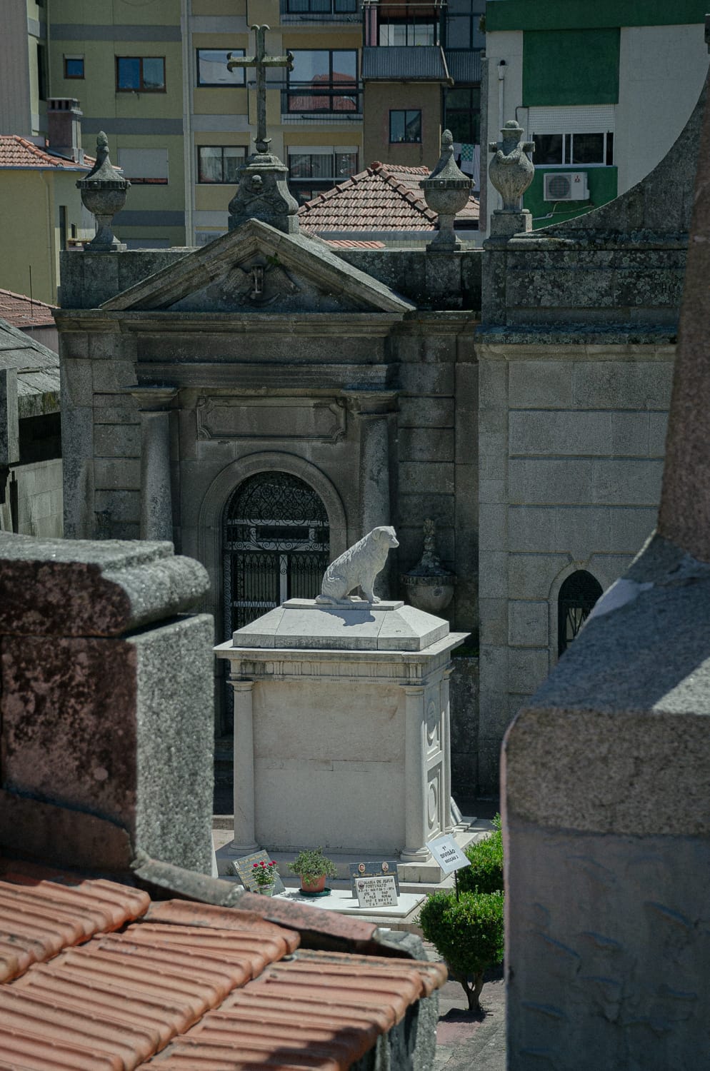 Фото 6 из альбома Porto 2017