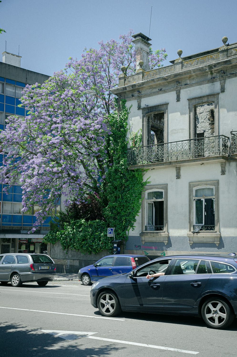 Фото 12 из альбома Porto 2017