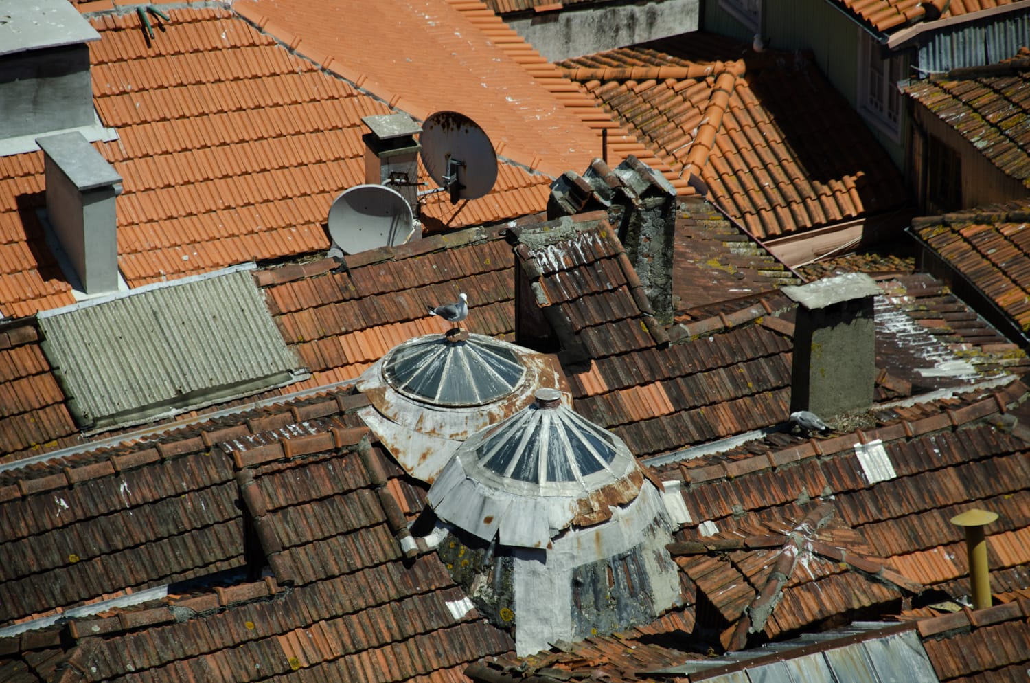 Фото 24 из альбома Porto 2017