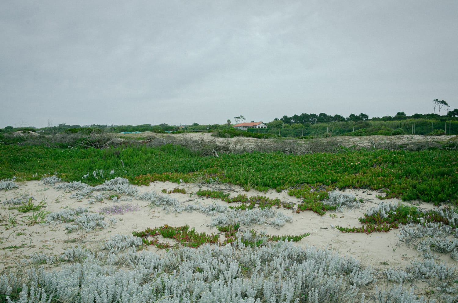 Фото 59 из альбома Porto 2017