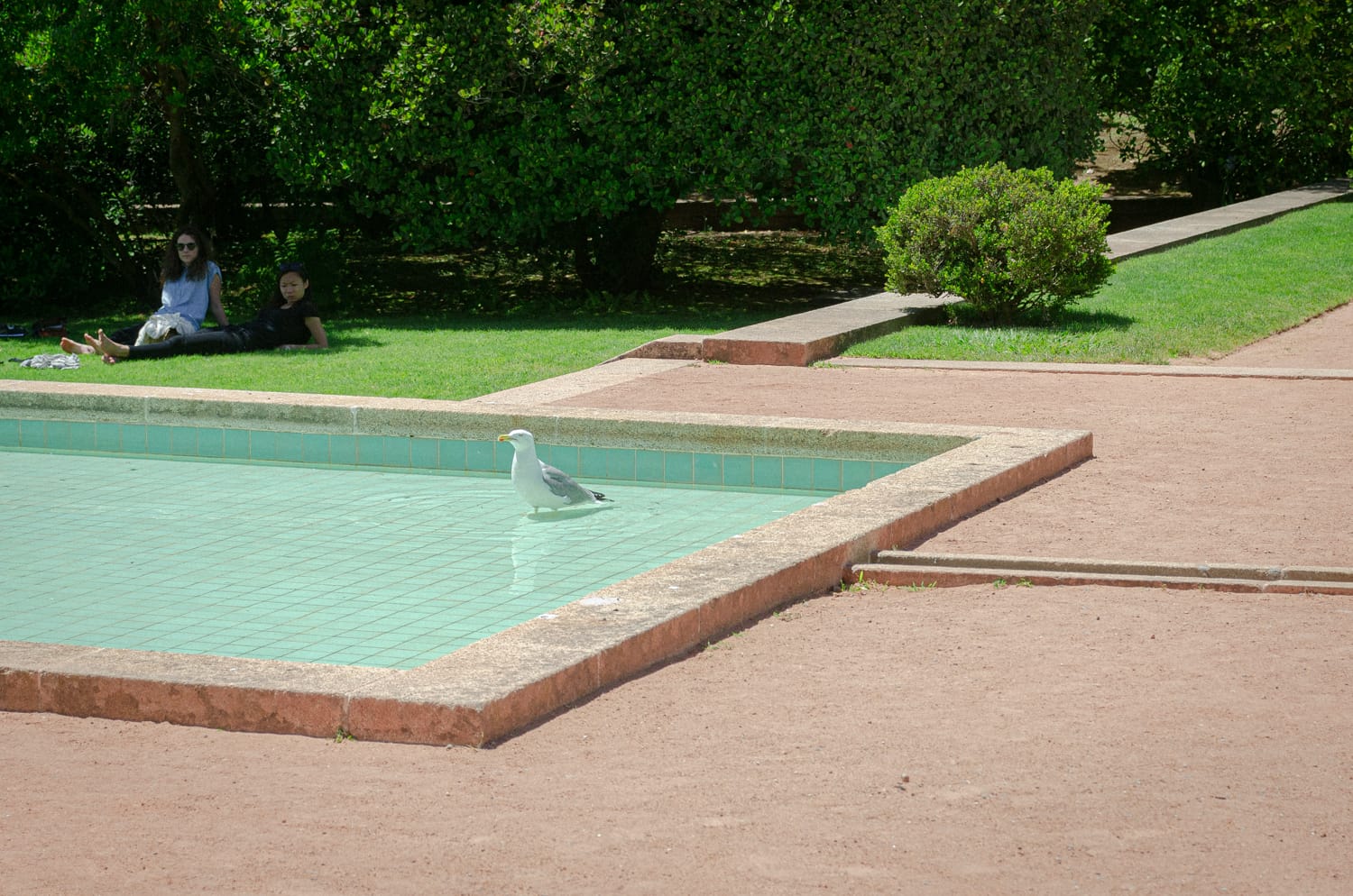 Фото 68 из альбома Porto 2017