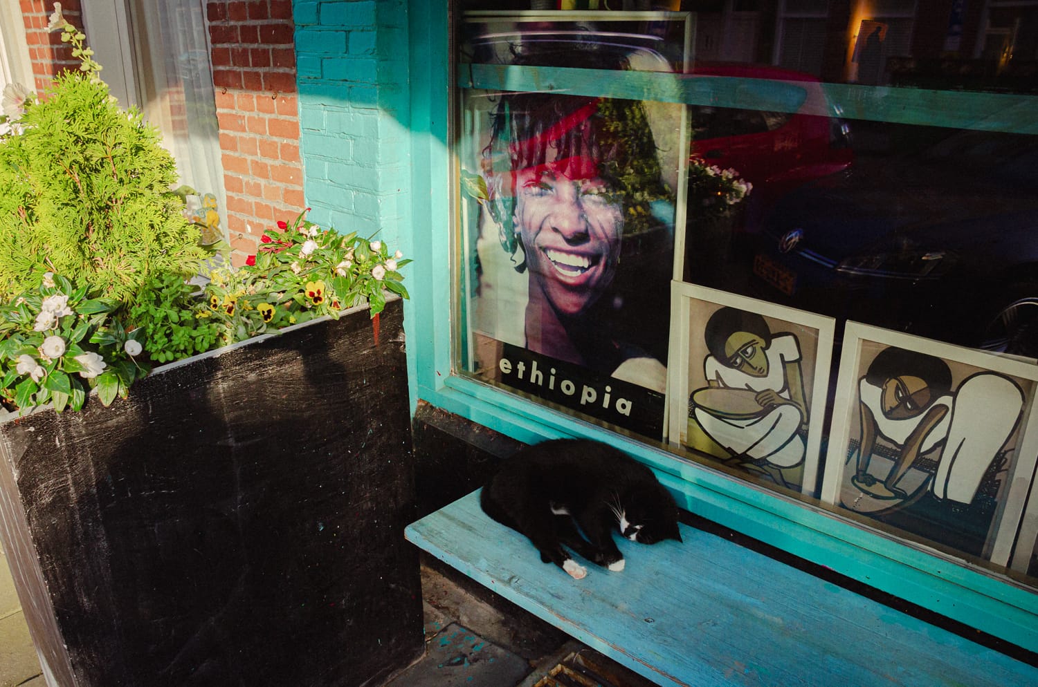 Фото 36 из альбома Amsterdam 2018