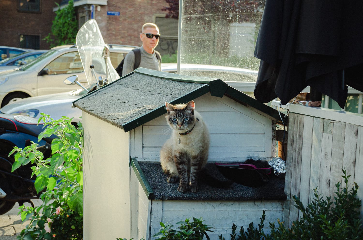 Фото 37 из альбома Amsterdam 2018