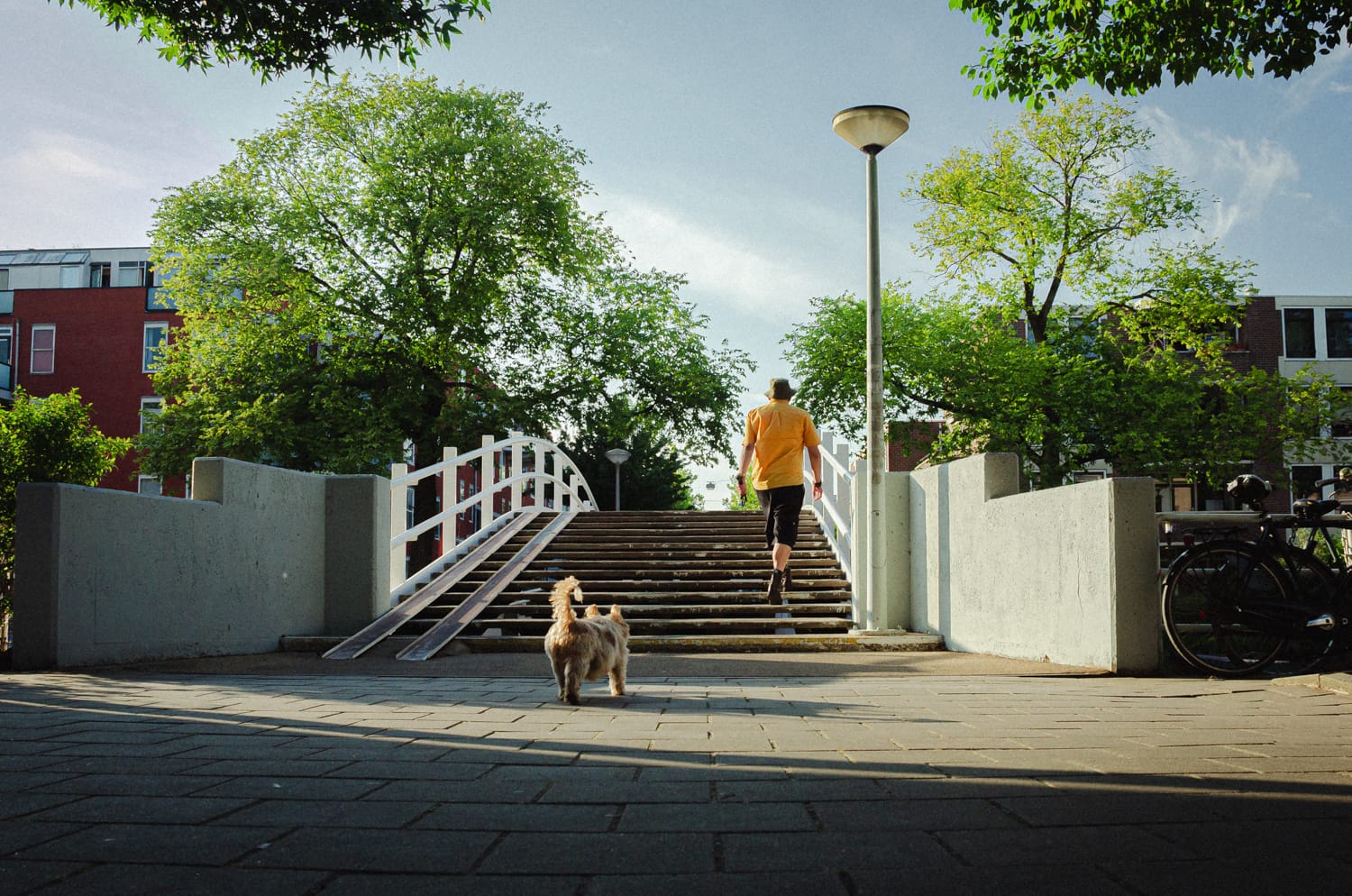 Фото 38 из альбома Amsterdam 2018