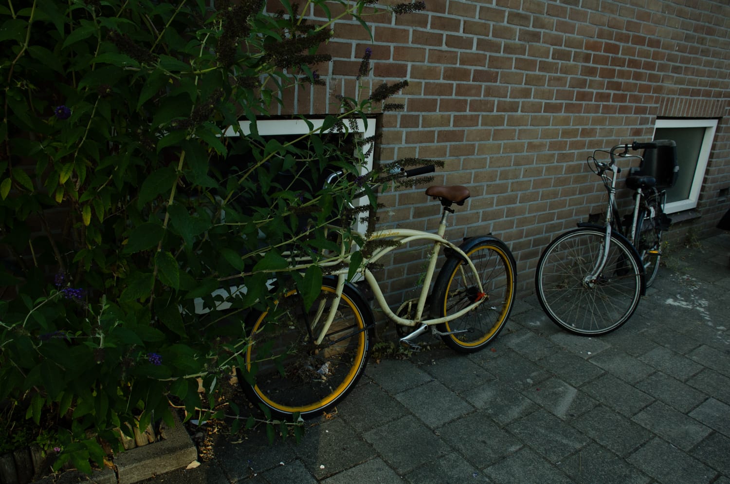 Фото 41 из альбома Amsterdam 2018