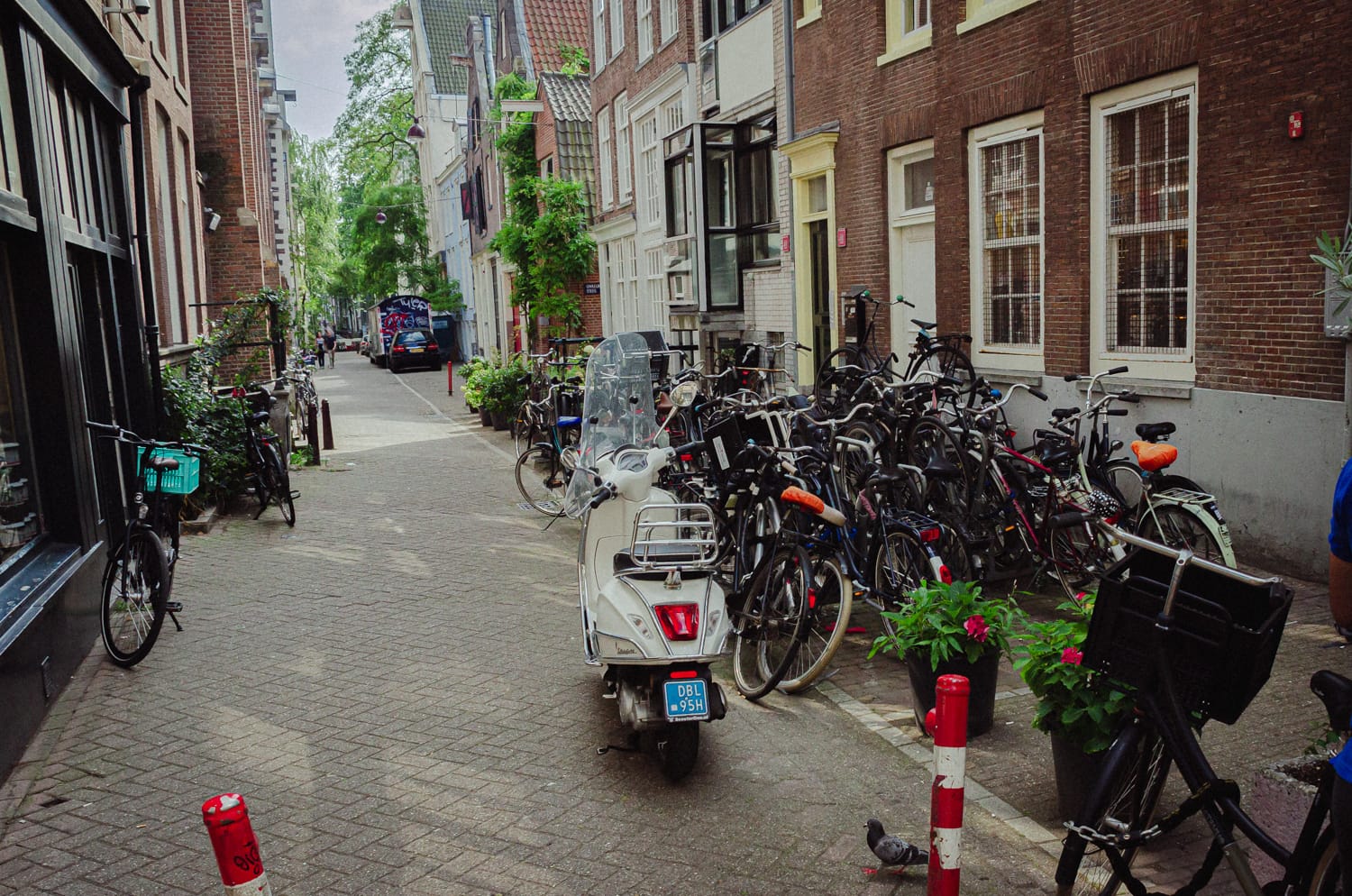 Фото 62 из альбома Amsterdam 2018