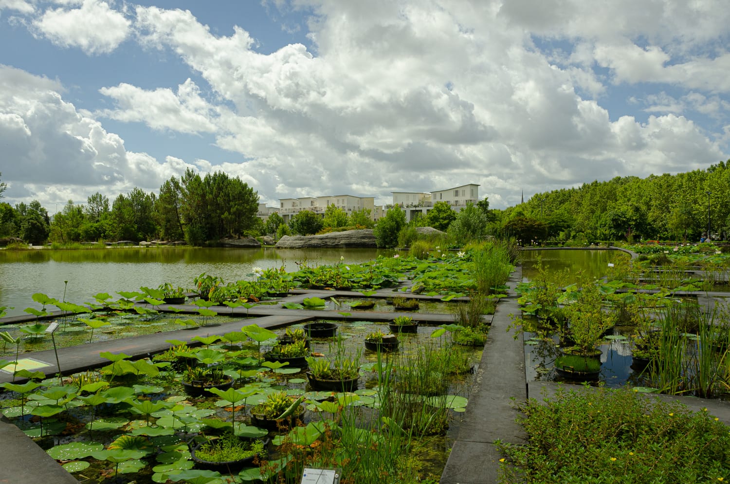 Фото 24 из альбома Bardeux 2018