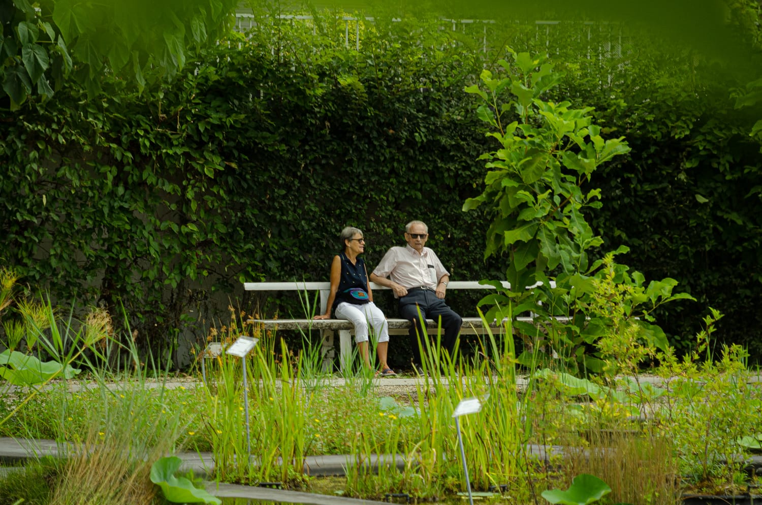 Фото 27 из альбома Bardeux 2018