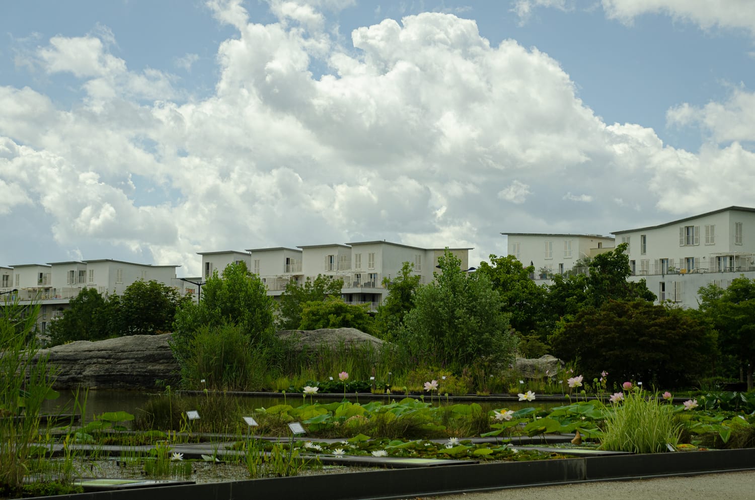 Фото 28 из альбома Bardeux 2018