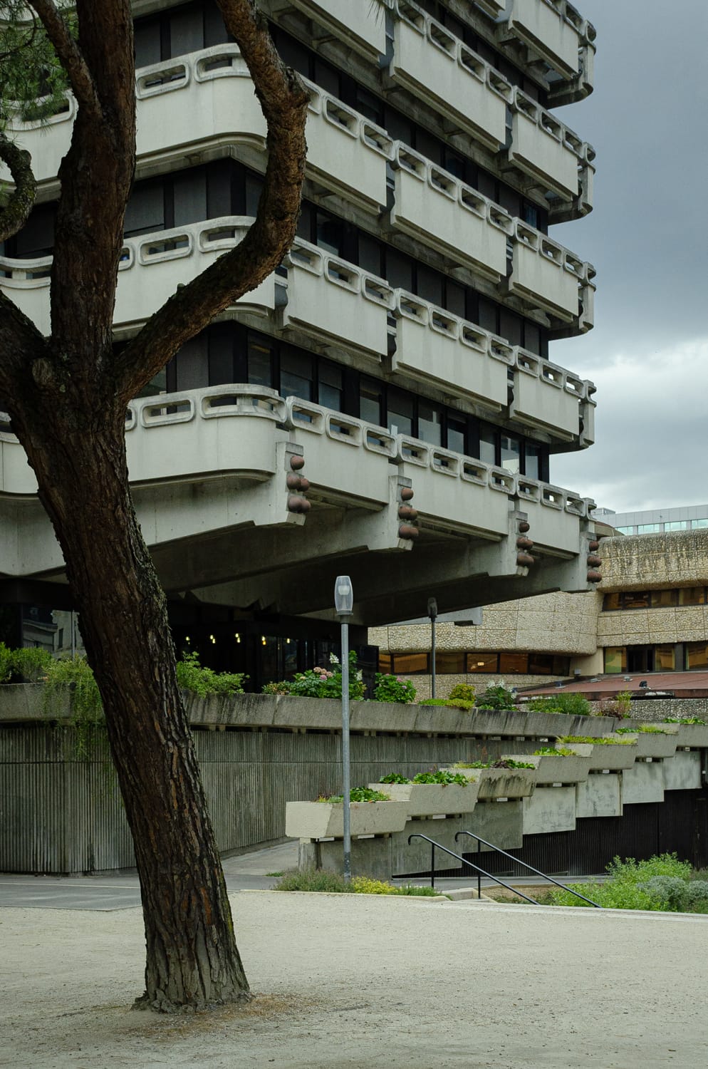 Фото 32 из альбома Bardeux 2018