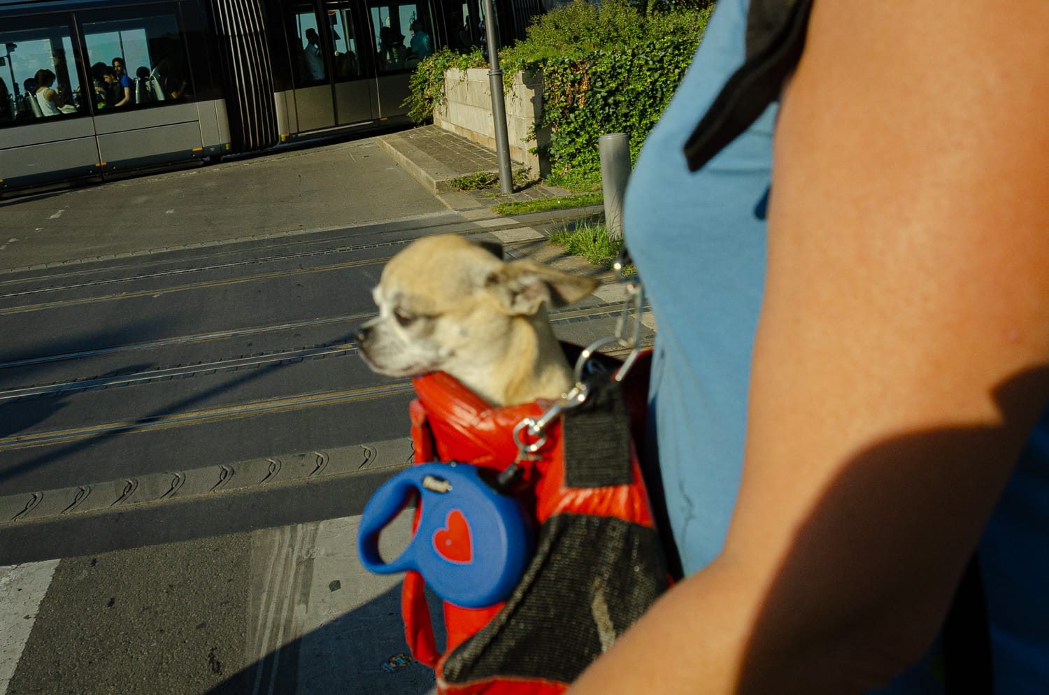 Фото 35 из альбома Bardeux 2018