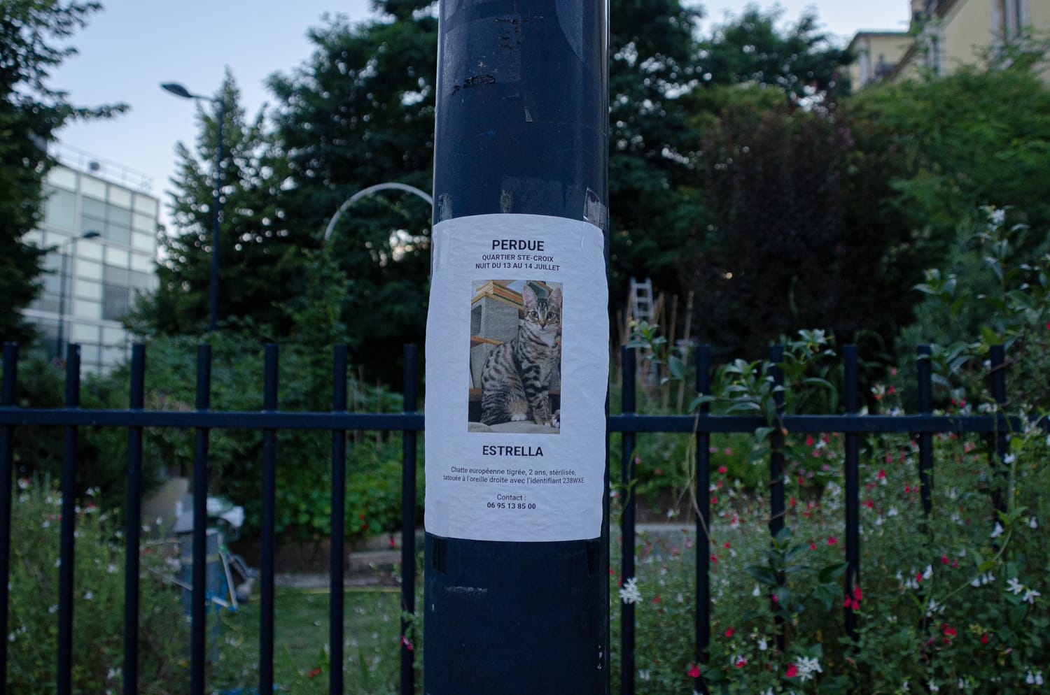 Фото 40 из альбома Bardeux 2018