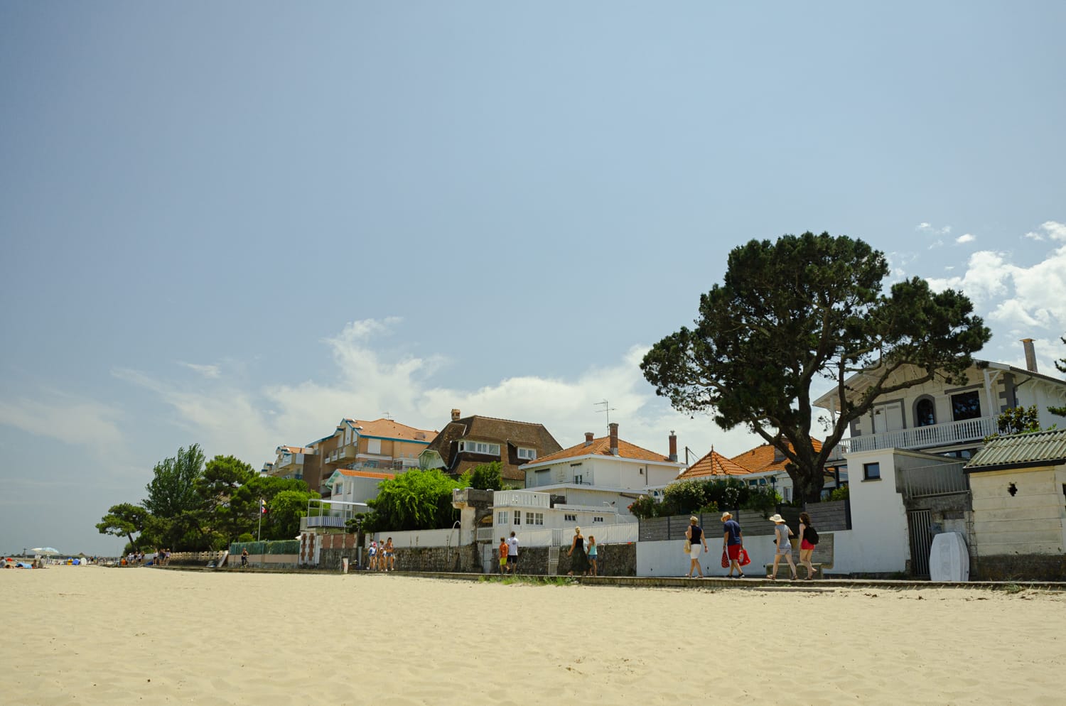 Фото 43 из альбома Bardeux 2018