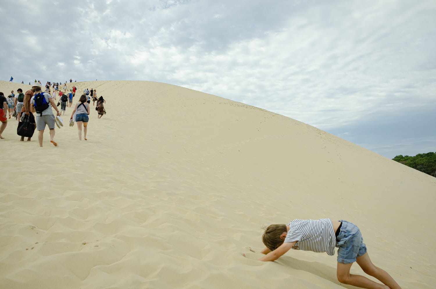 Фото 45 из альбома Bardeux 2018