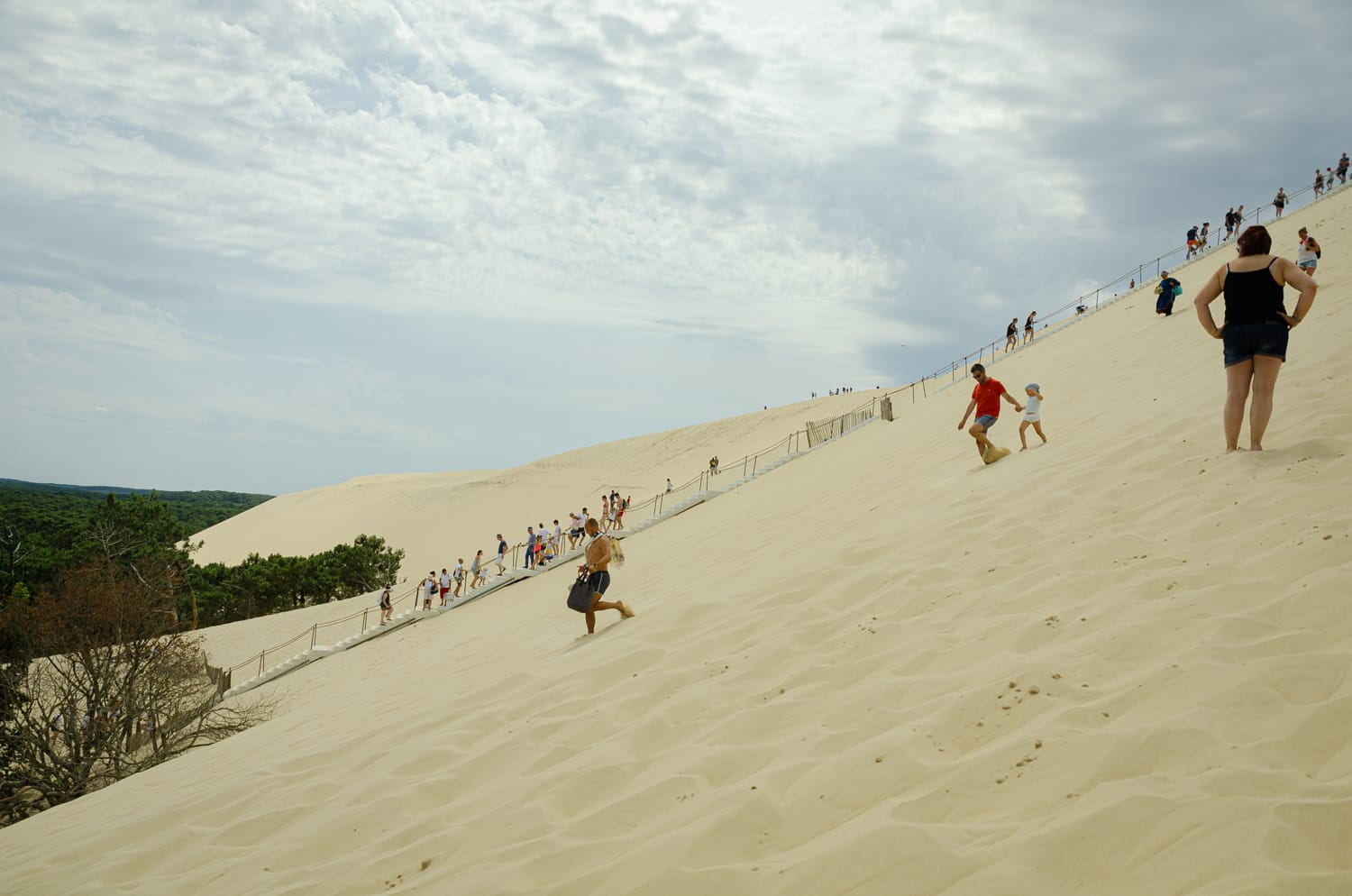 Превью Bardeux 2018