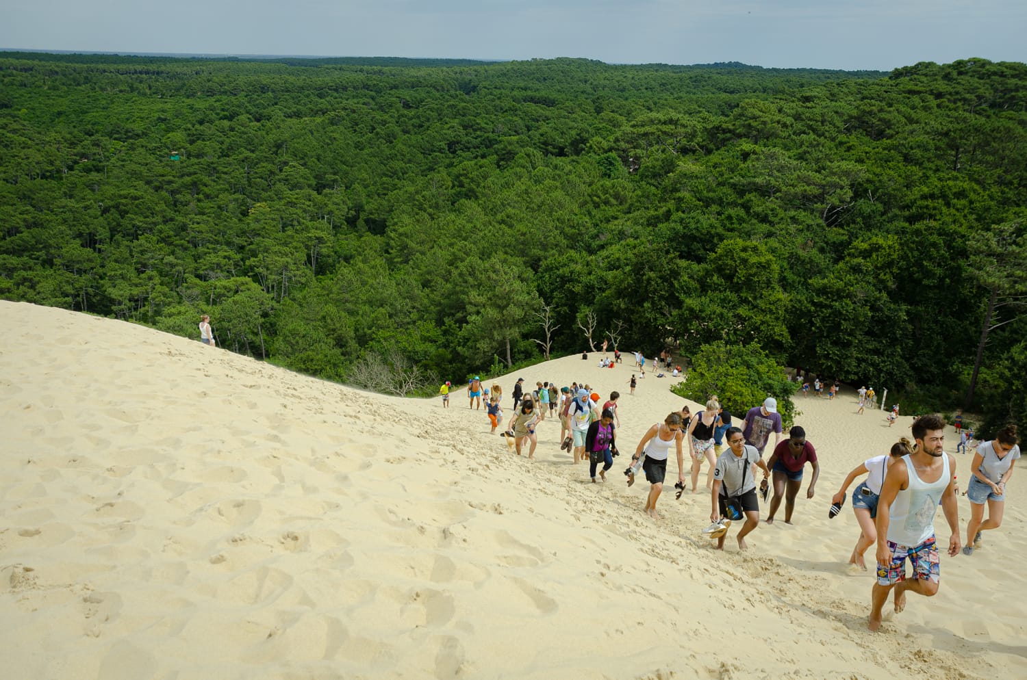Фото 47 из альбома Bardeux 2018