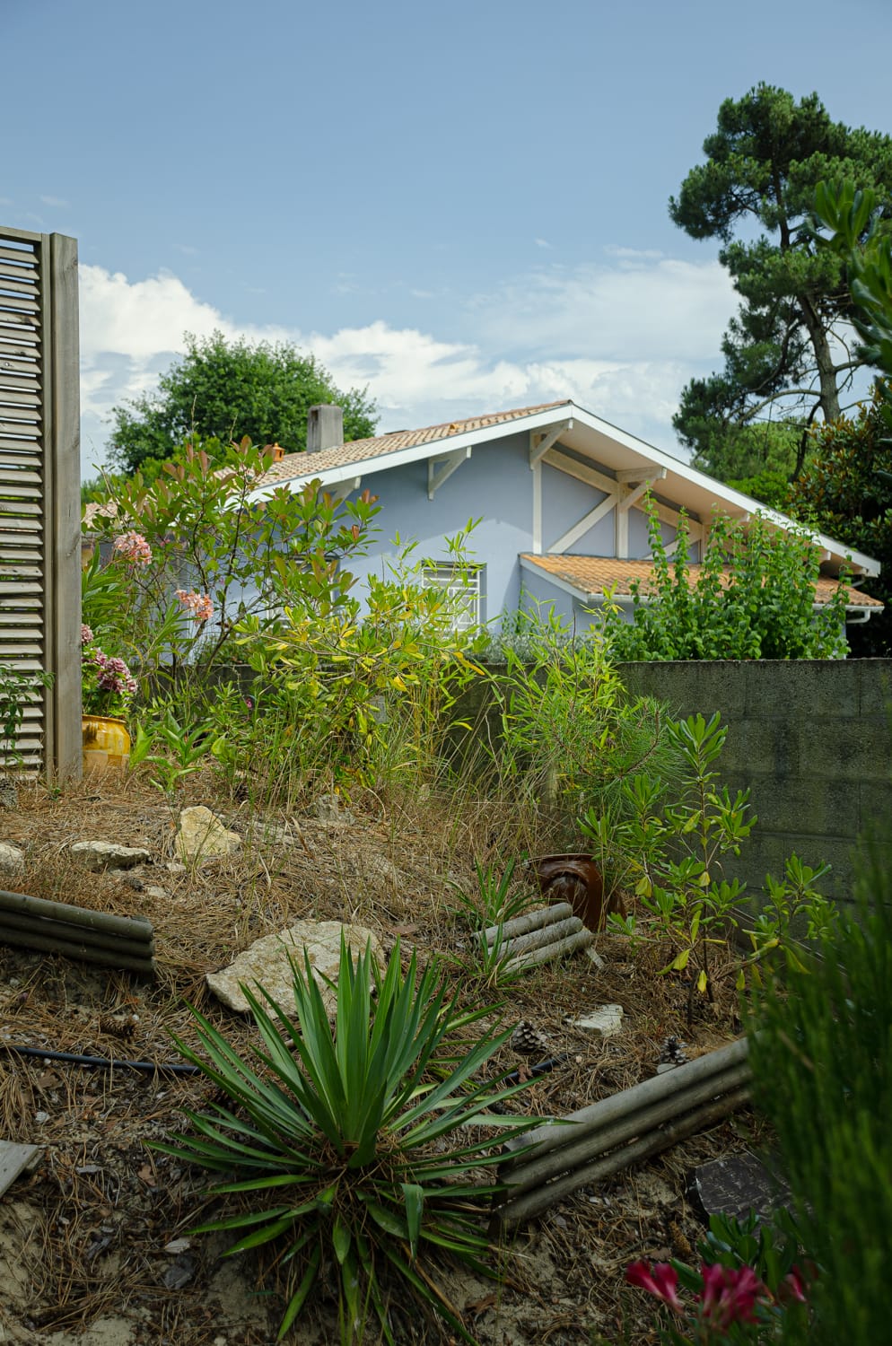 Фото 50 из альбома Bardeux 2018