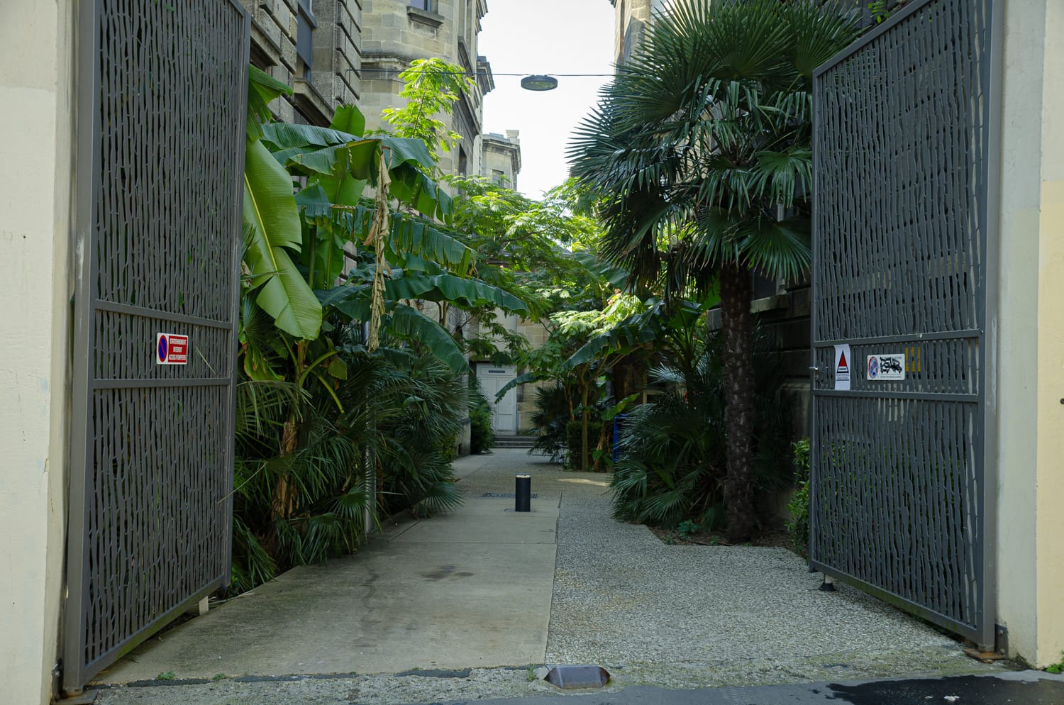 Фото 51 из альбома Bardeux 2018