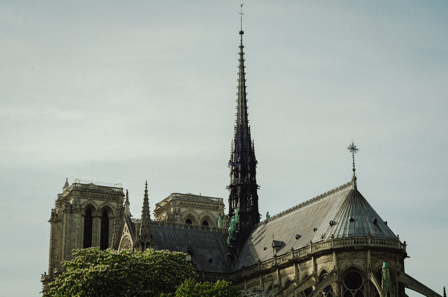 Фото 6 из альбома Paris & Toulouse 2018