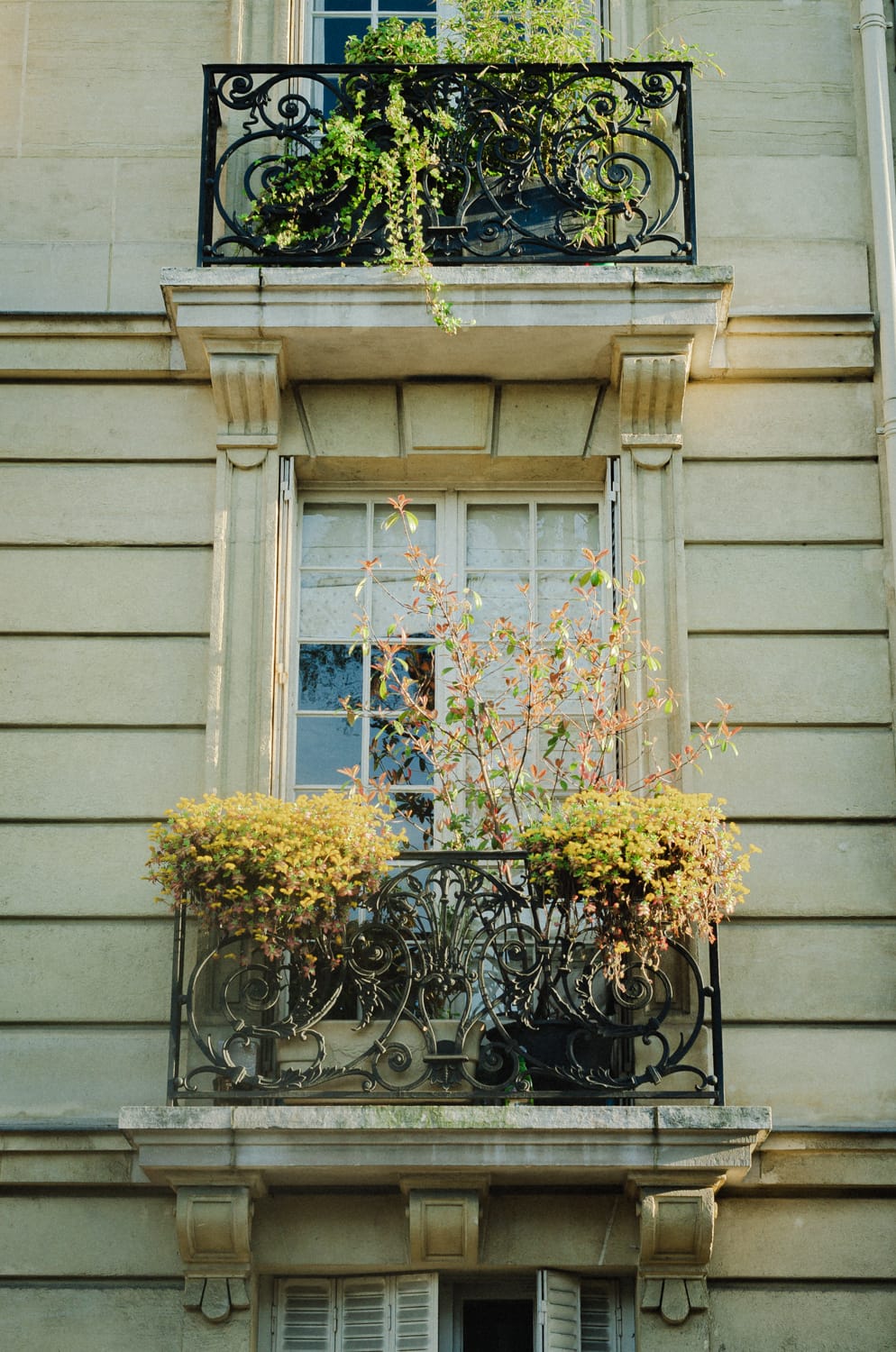 Фото 16 из альбома Paris & Toulouse 2018