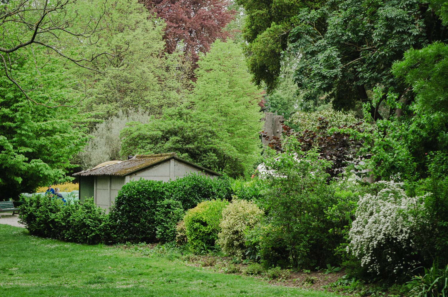 Фото 27 из альбома Paris & Toulouse 2018