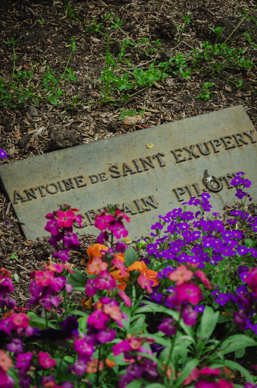 Фото 29 из альбома Paris & Toulouse 2018