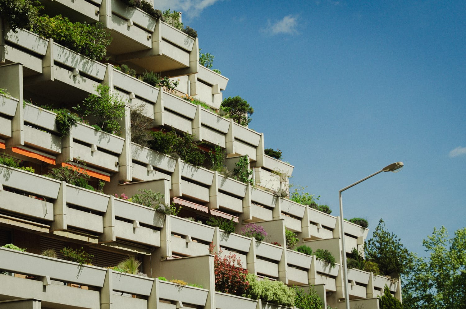 Фото 52 из альбома Paris & Toulouse 2018