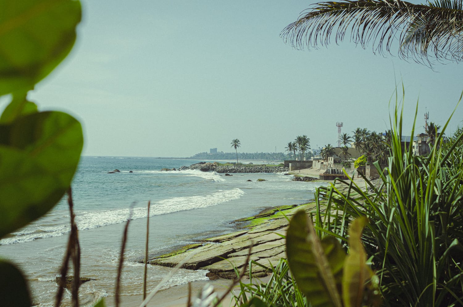 Фото 2 из альбома Sri Lanka 2019