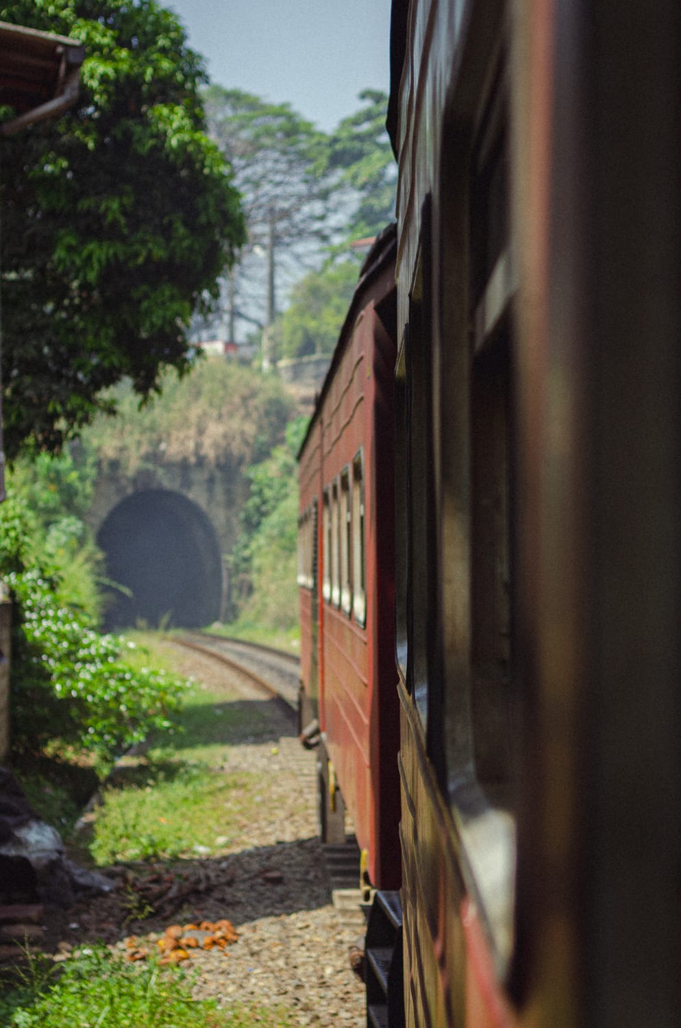 Фото 6 из альбома Sri Lanka 2019