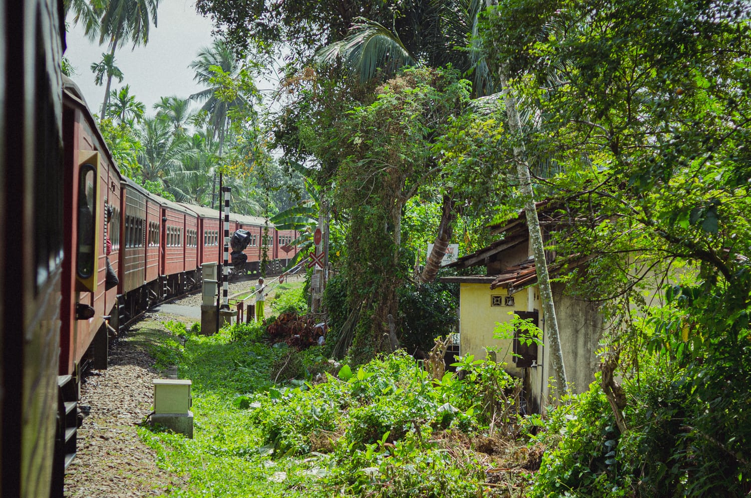 Фото 8 из альбома Sri Lanka 2019