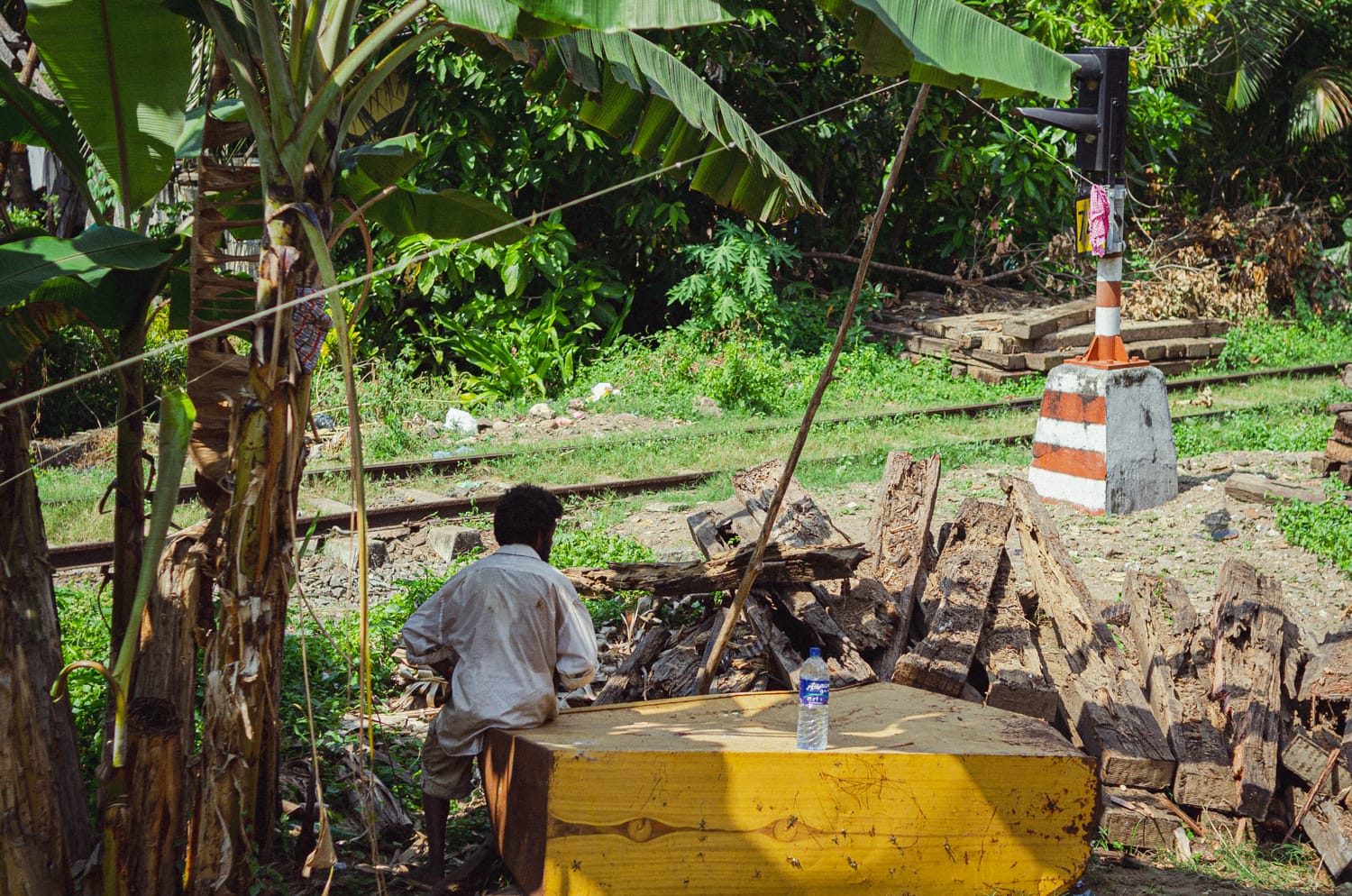 Фото 9 из альбома Sri Lanka 2019