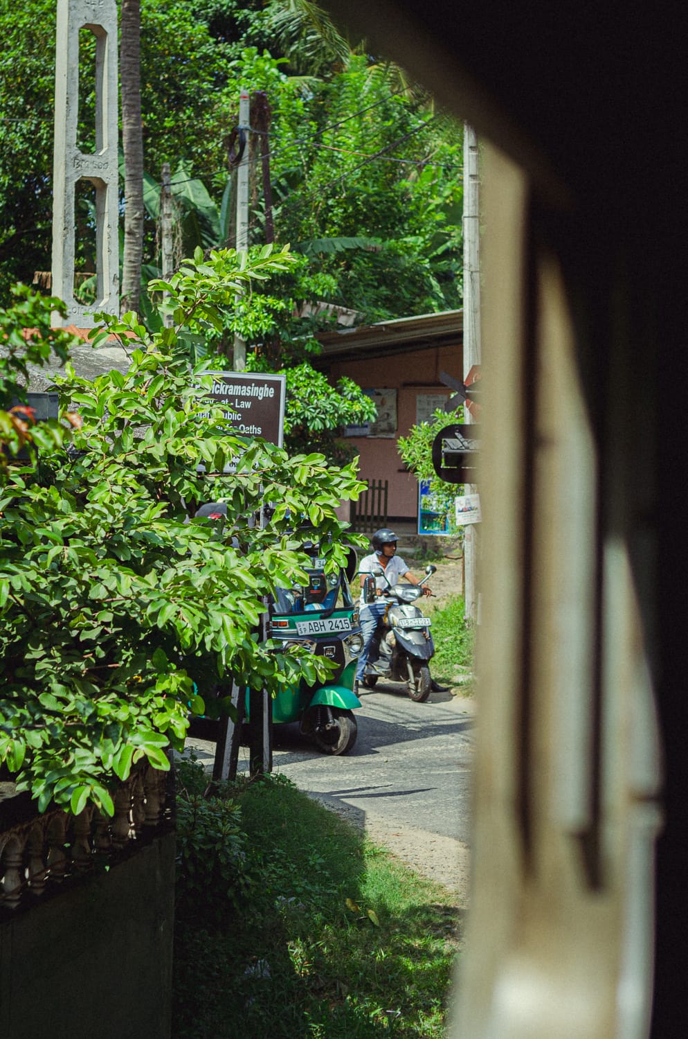 Фото 11 из альбома Sri Lanka 2019