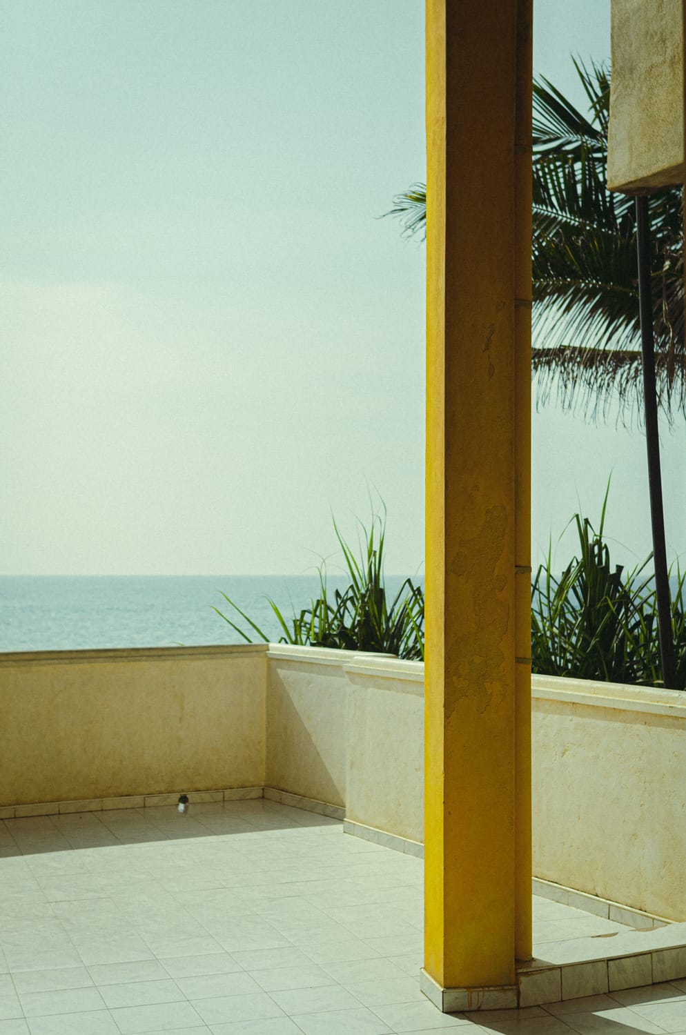 Фото 12 из альбома Sri Lanka 2019