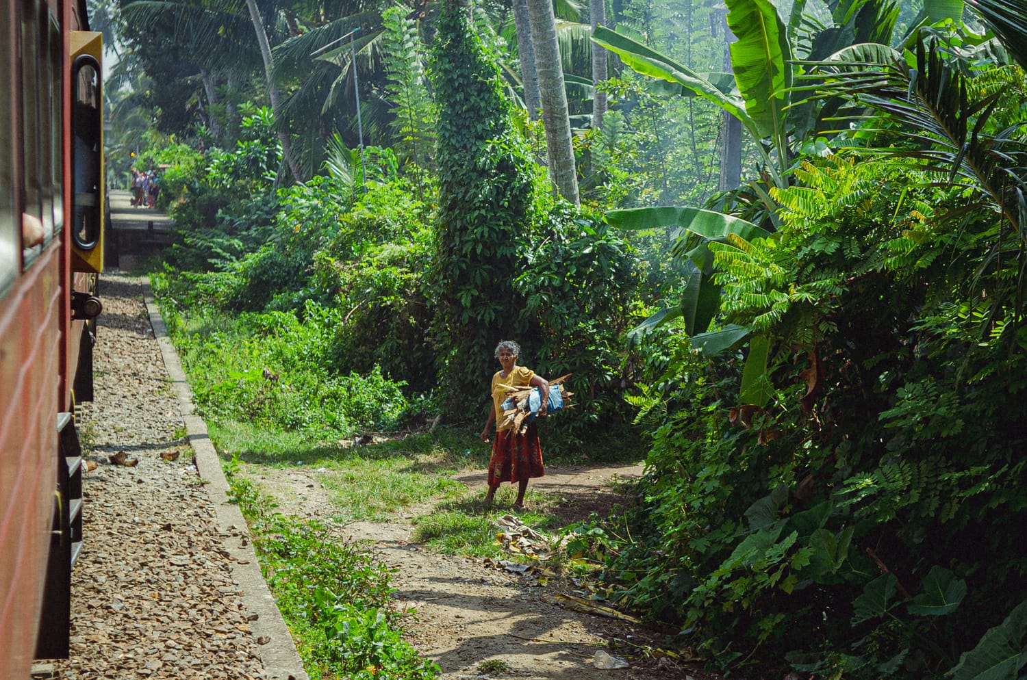 Фото 13 из альбома Sri Lanka 2019