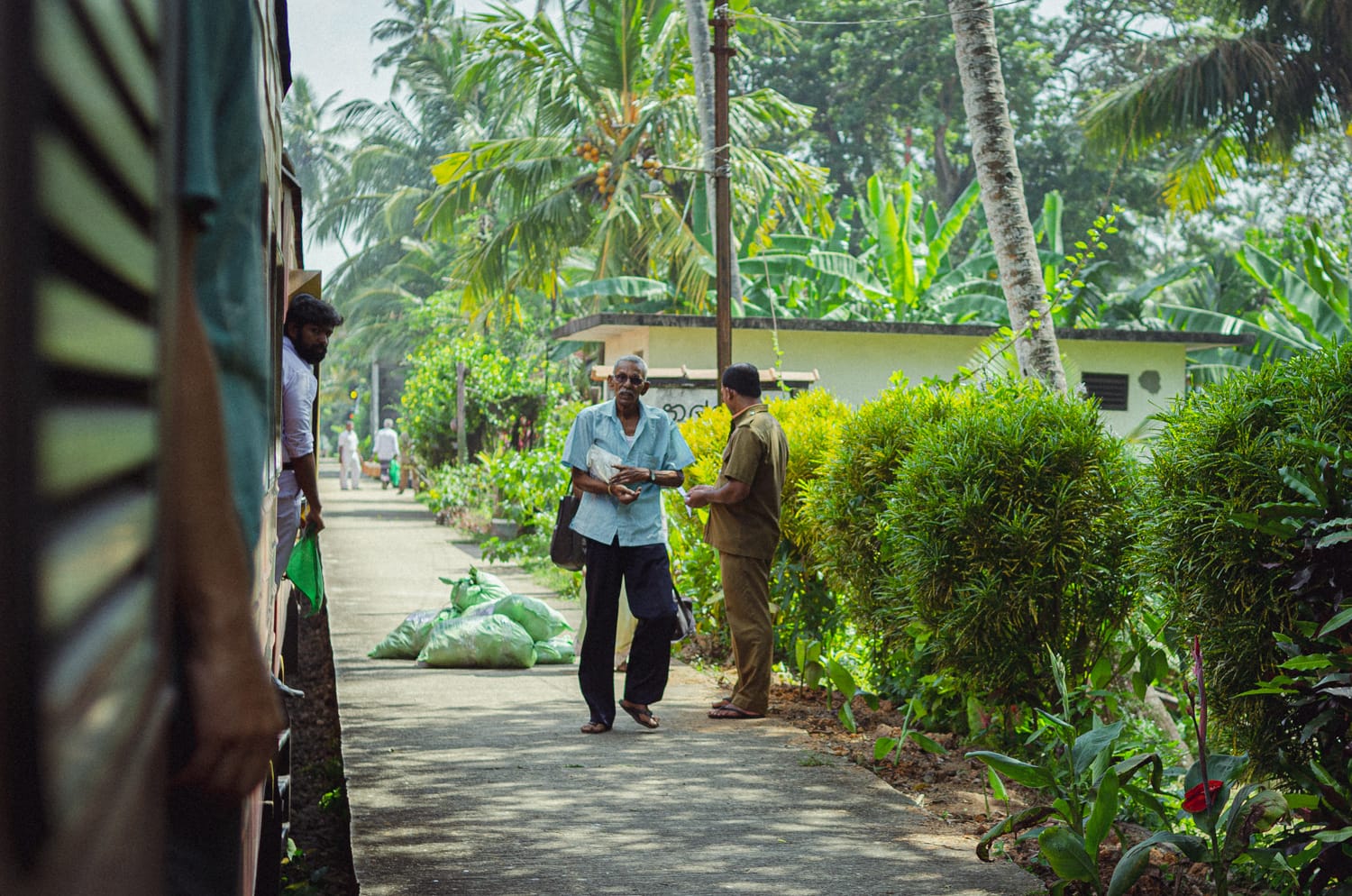 Фото 14 из альбома Sri Lanka 2019