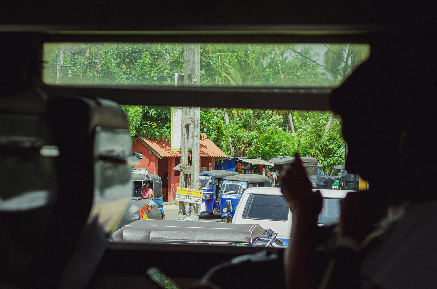 Фото 16 из альбома Sri Lanka 2019