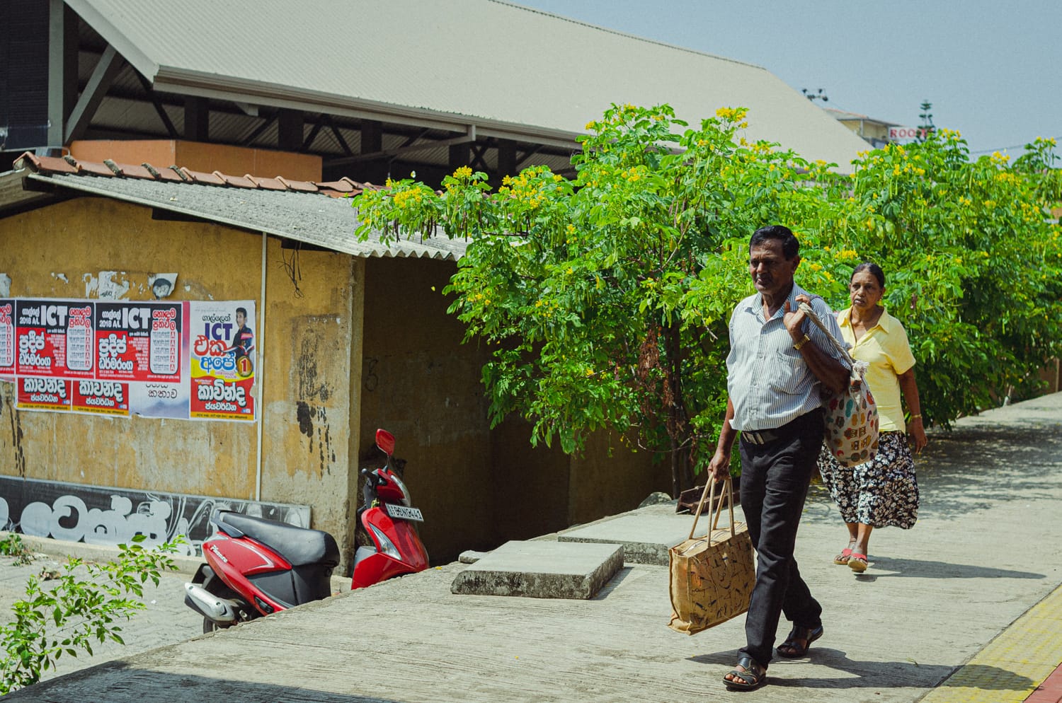 Фото 17 из альбома Sri Lanka 2019