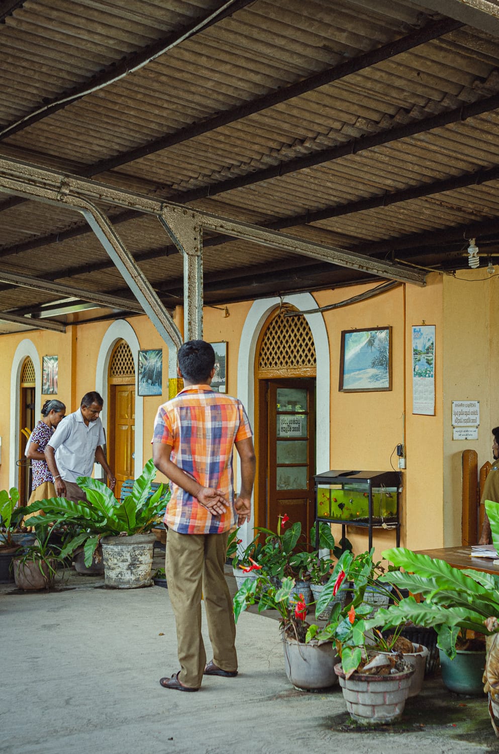 Фото 18 из альбома Sri Lanka 2019