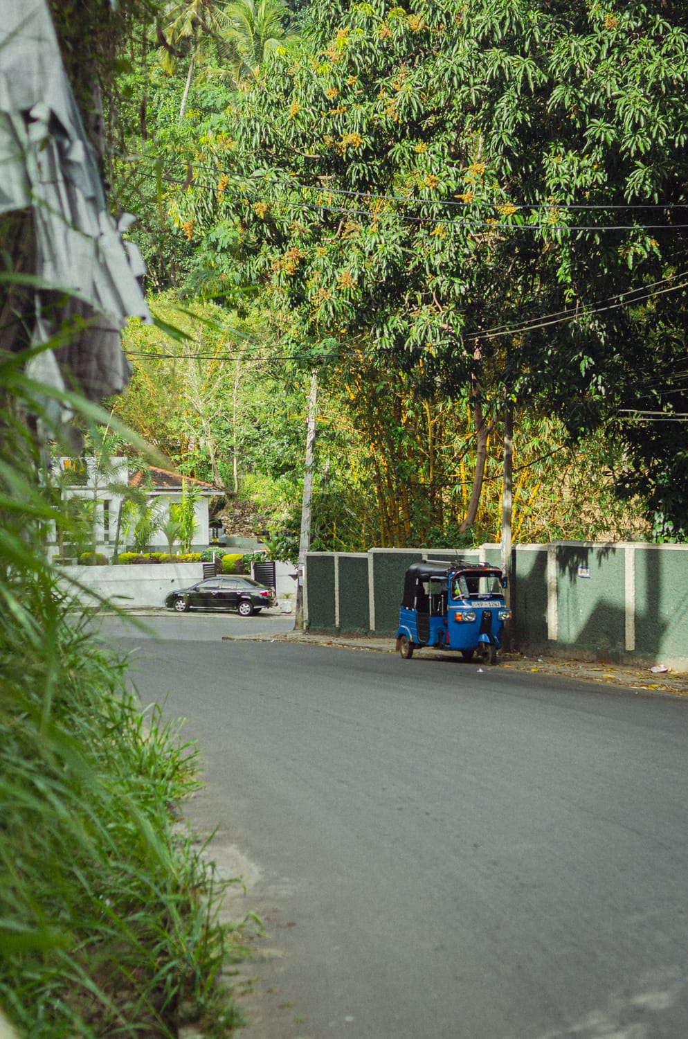 Фото 25 из альбома Sri Lanka 2019