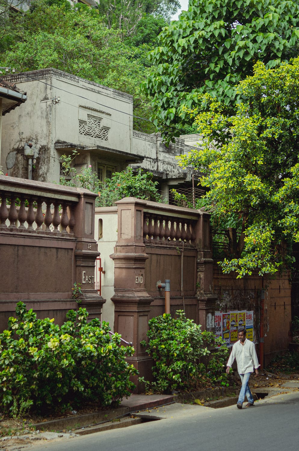 Фото 26 из альбома Sri Lanka 2019