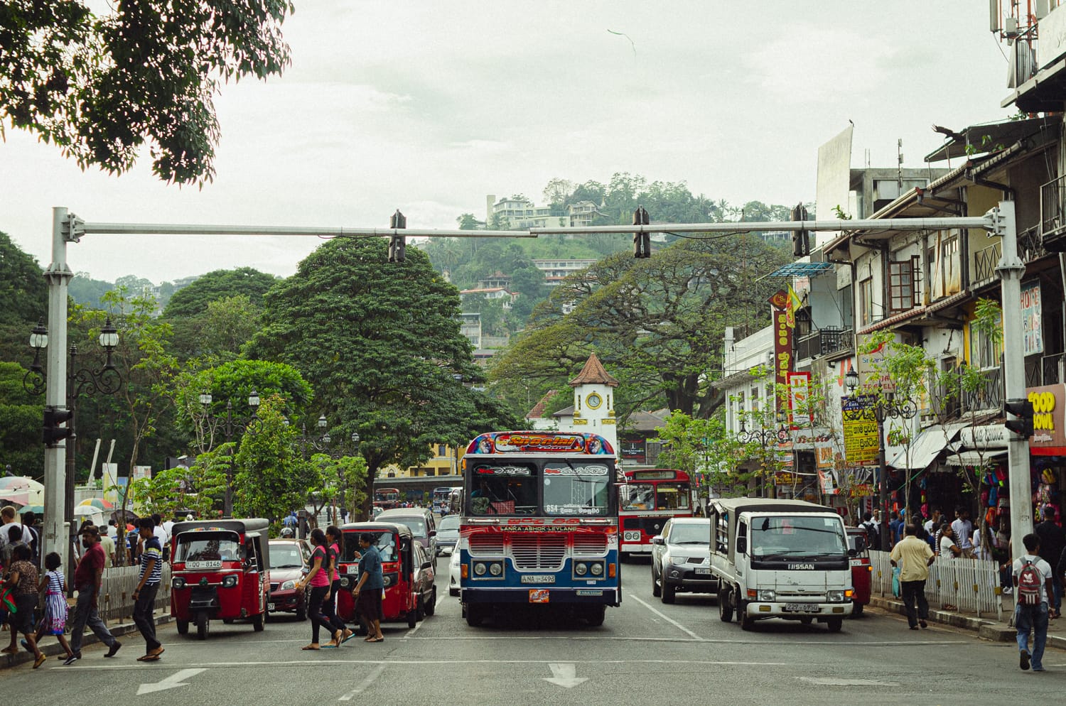 Фото 30 из альбома Sri Lanka 2019