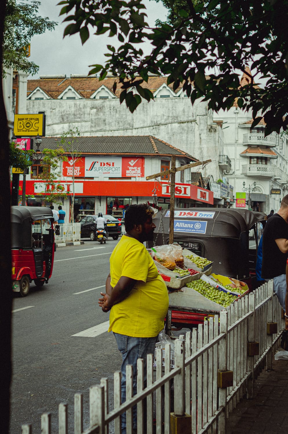 Фото 31 из альбома Sri Lanka 2019