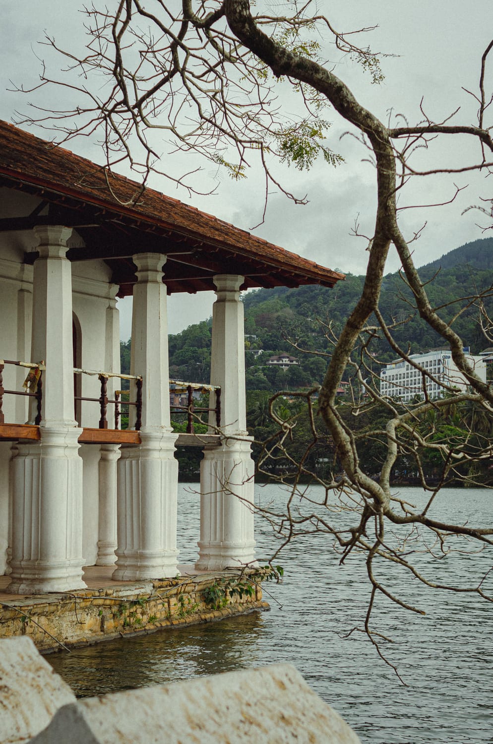 Фото 35 из альбома Sri Lanka 2019