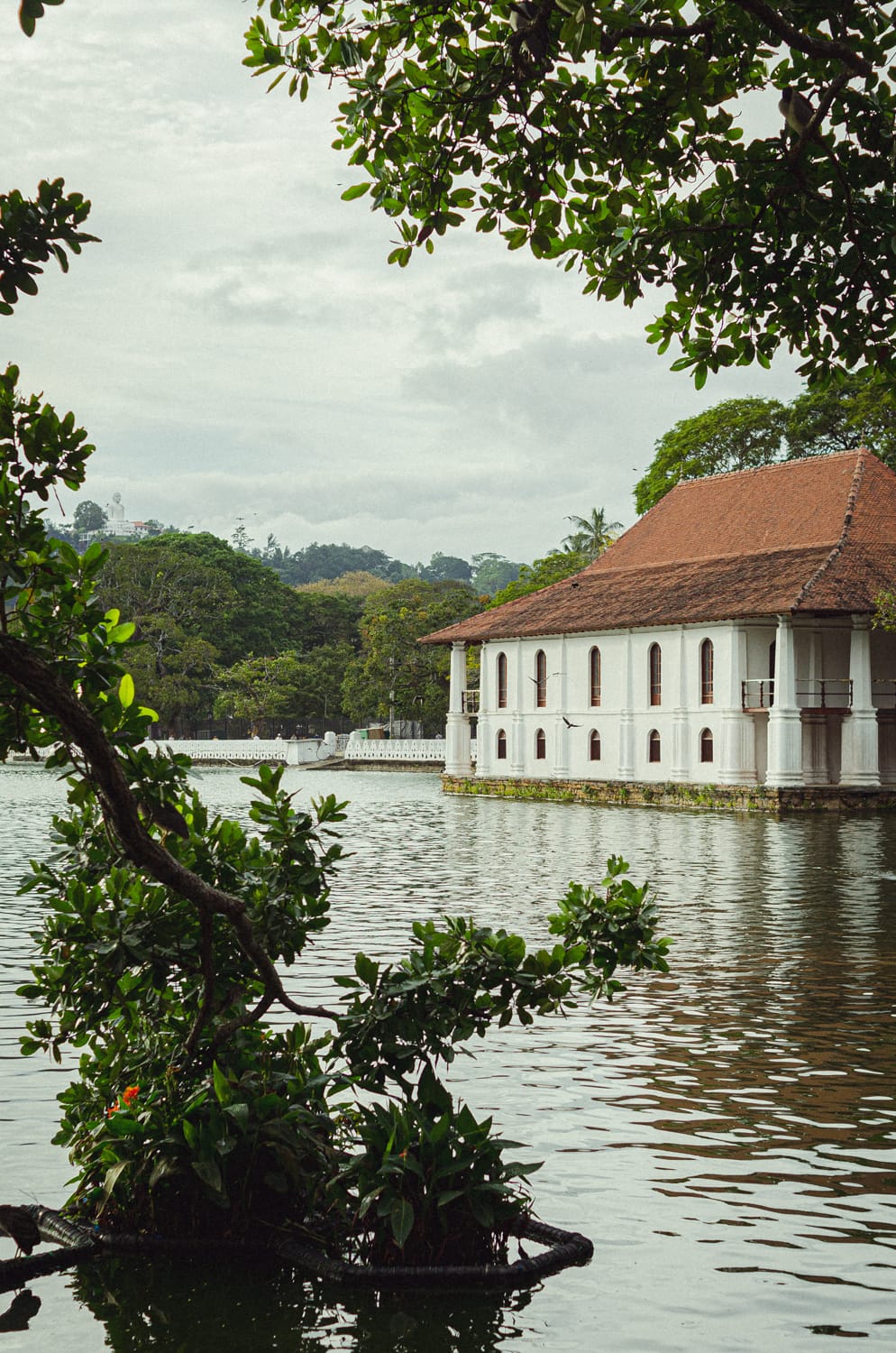 Фото 38 из альбома Sri Lanka 2019
