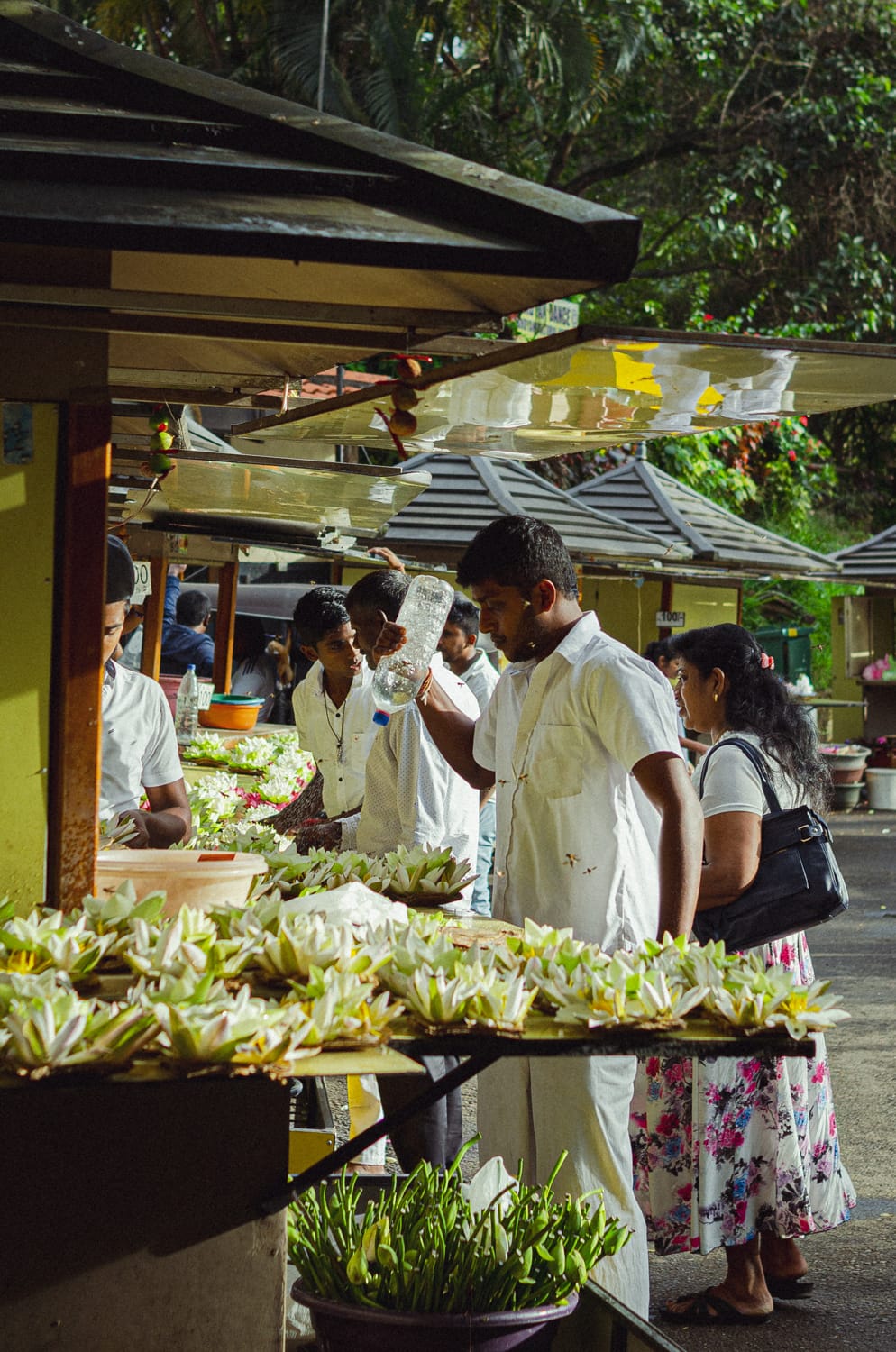 Фото 39 из альбома Sri Lanka 2019
