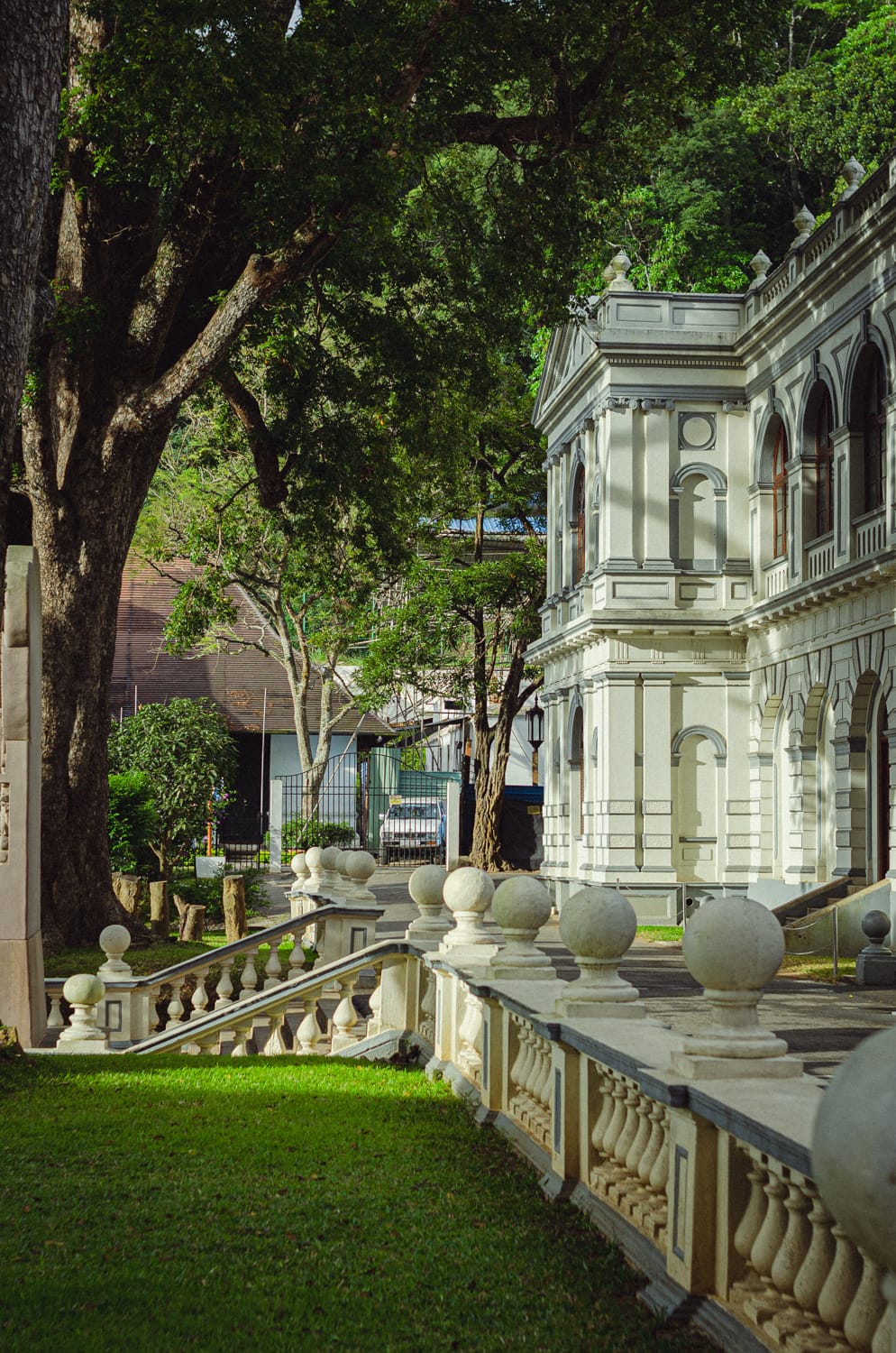 Фото 40 из альбома Sri Lanka 2019